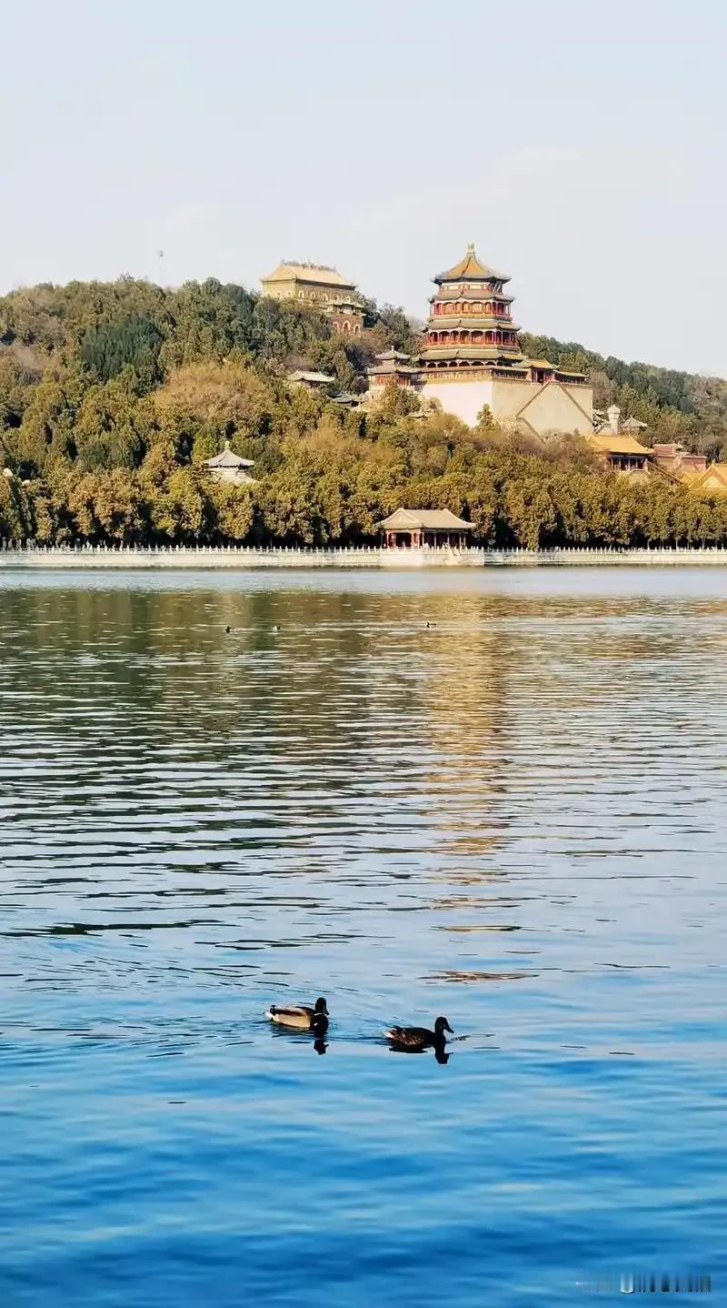 同事欺负我，我却感到高兴，你们帮我分析一下，我是输了还是赢了。

单位食堂是旋转