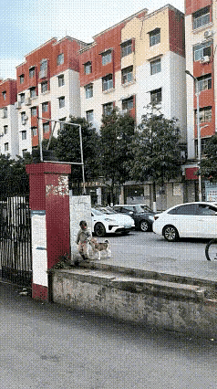 这要是在城市，得找狗主人赔钱了。