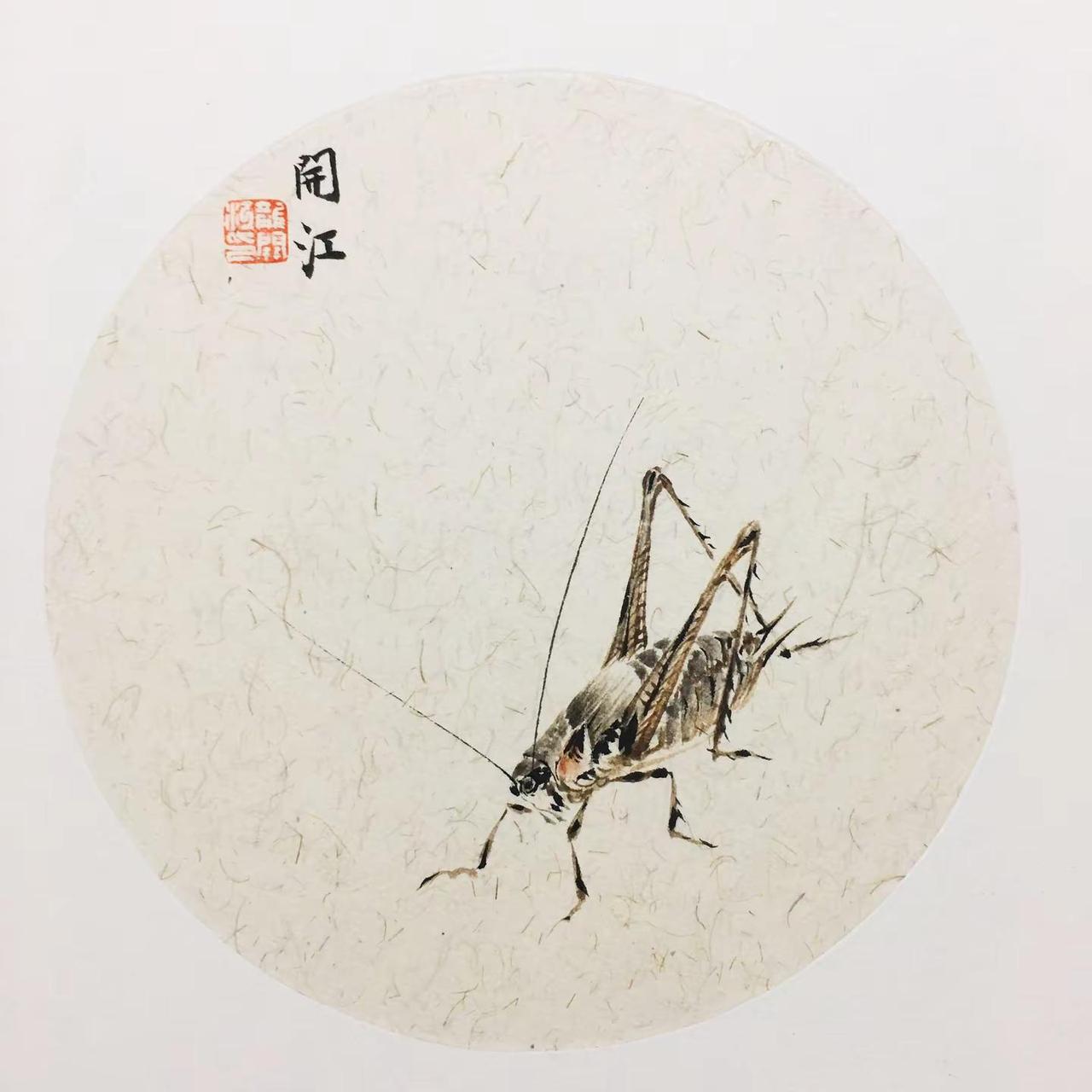 中国国画 学习国画 昆虫 画画手绘