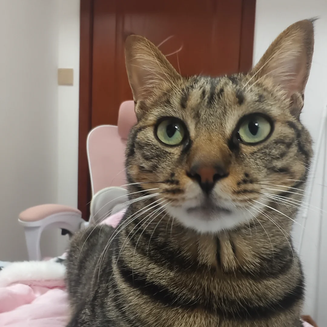 上班久了心就硬了