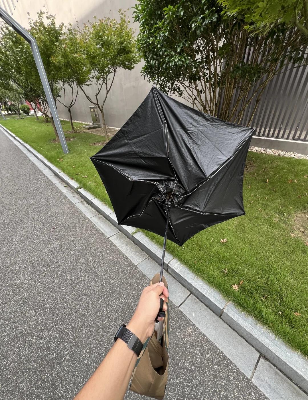 🙃谢谢你奥，上海的大风🤷
风吹屁屁凉啊