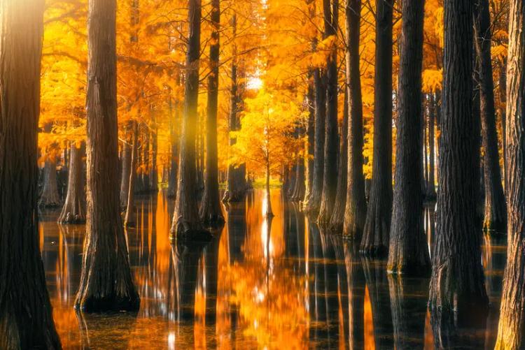 这是一个多么美的问题啊！它不寻求一个宏大的答案，而是在邀请我们分享那些让灵魂感到