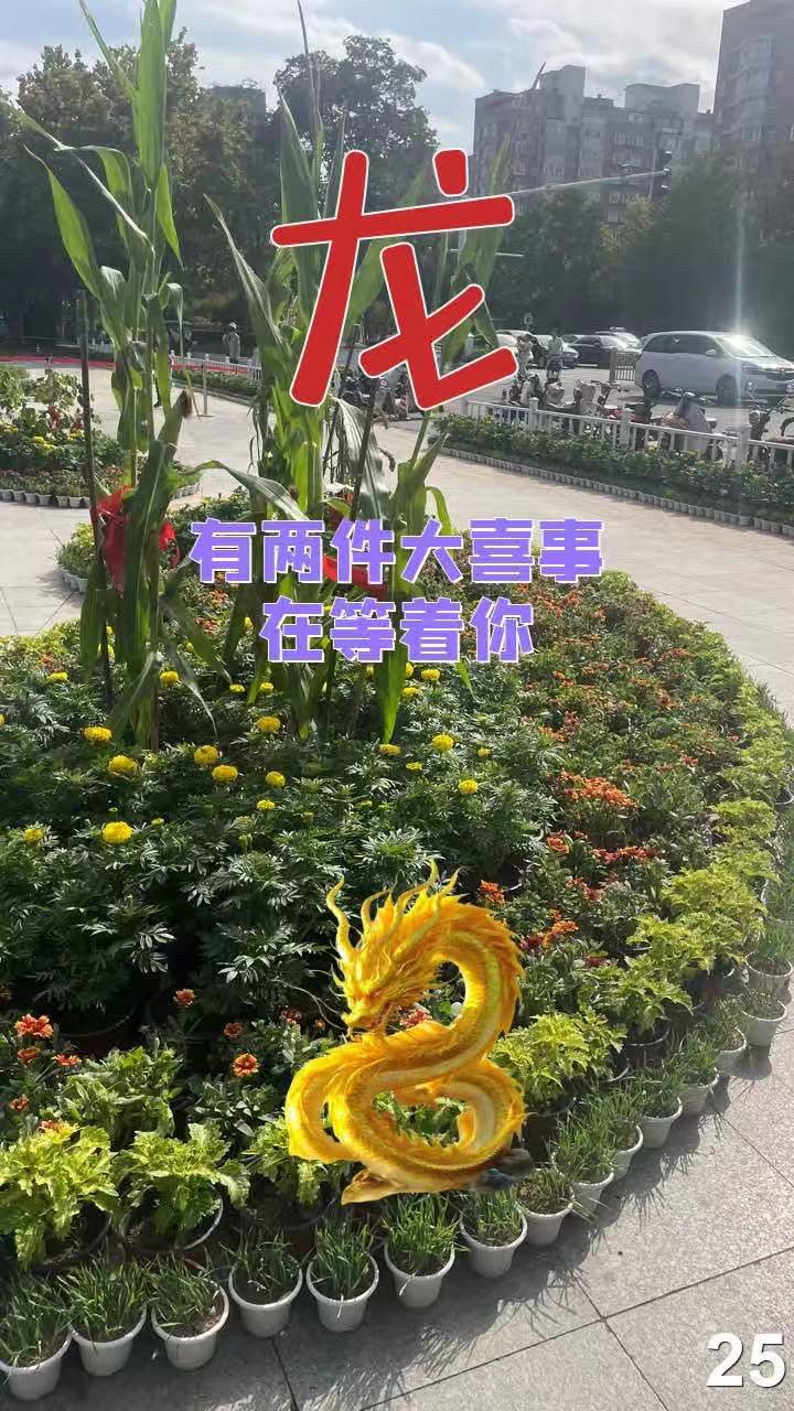 76年的龙88年的龙 00年属龙