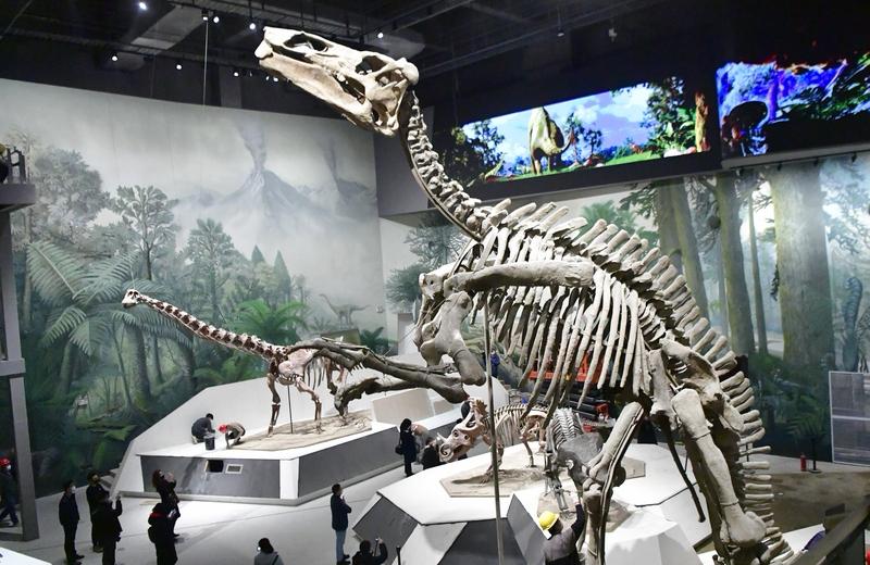 山东过年那传统文化血脉一觉醒，简直太有看头了！2026马年新春，济南文博场馆超热