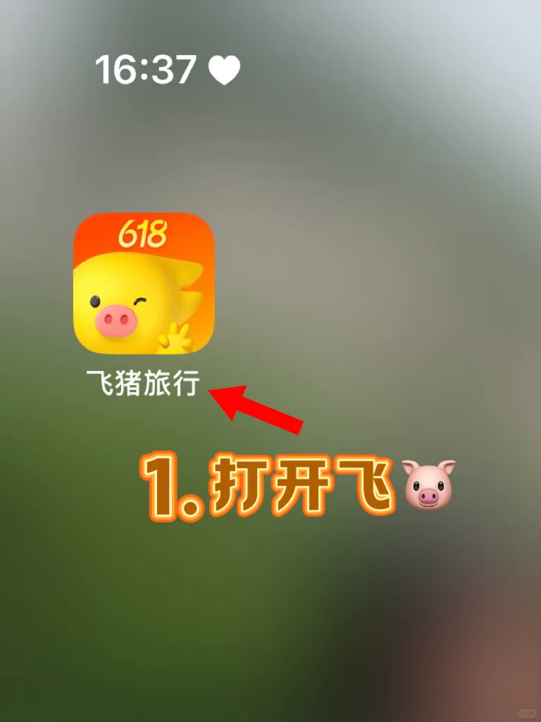 请大数据推给要去日本旅行的友友们‼️