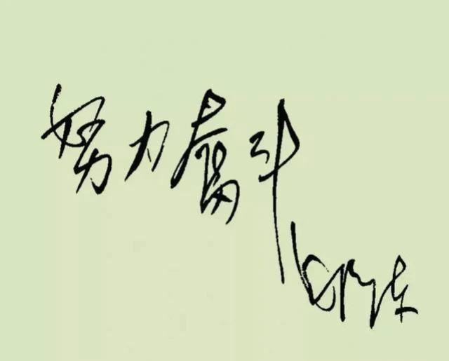 不仅“努力奋斗”四个字写的好，“毛泽东”三个字写的也是别具一格，有一种起伏波动流