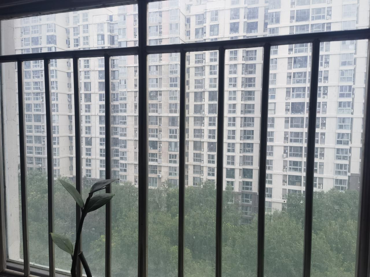 此时此刻的窗外，听见蝉鸣声。天有些阴沉。