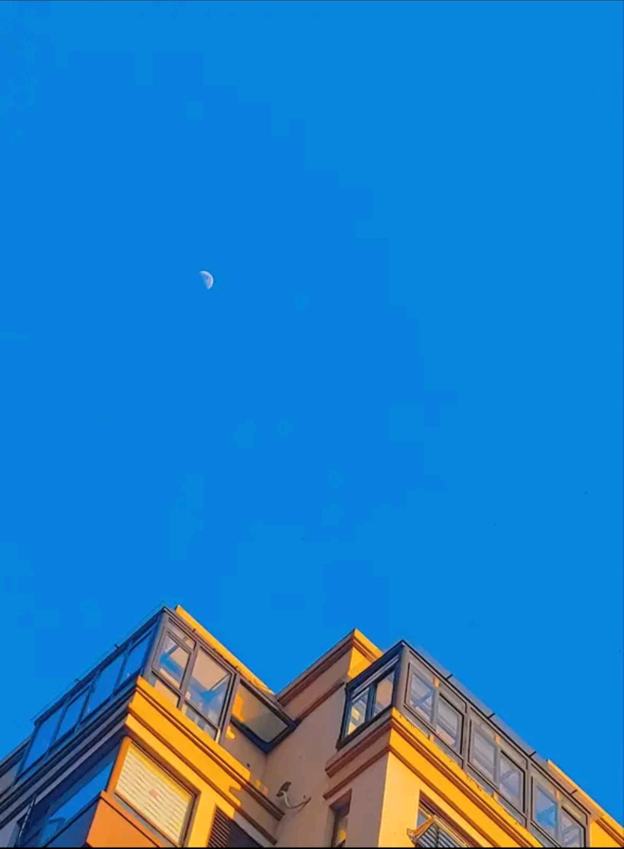 暗恋的微妙：从蓝颜到红粉的心动瞬间
在青春的岁月里，暗恋是一段纯粹而又复杂的情感