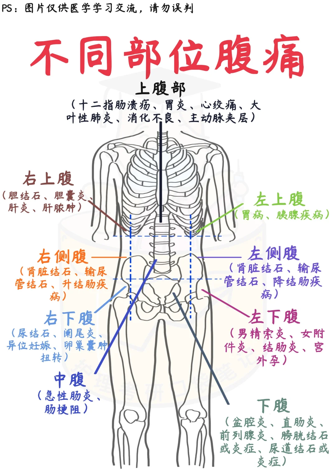 📒看漫画轻松学｜一张图帮你搞定“腹痛”‼️