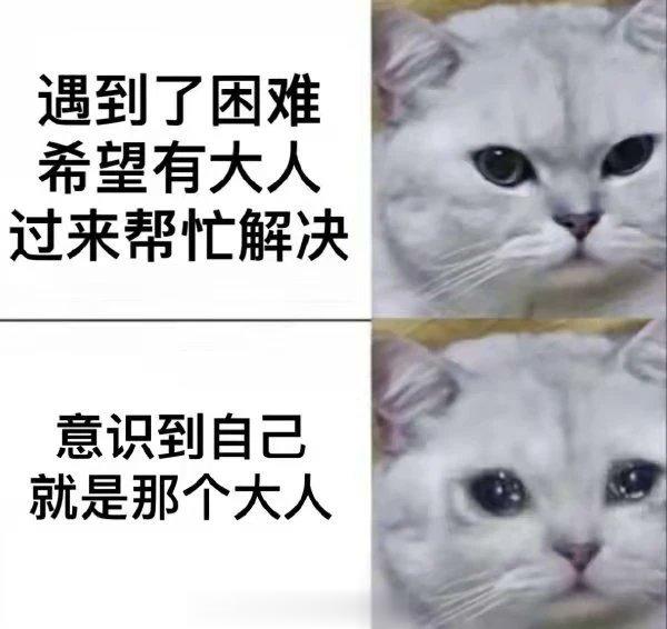 #meme##me_irl# ​​​
