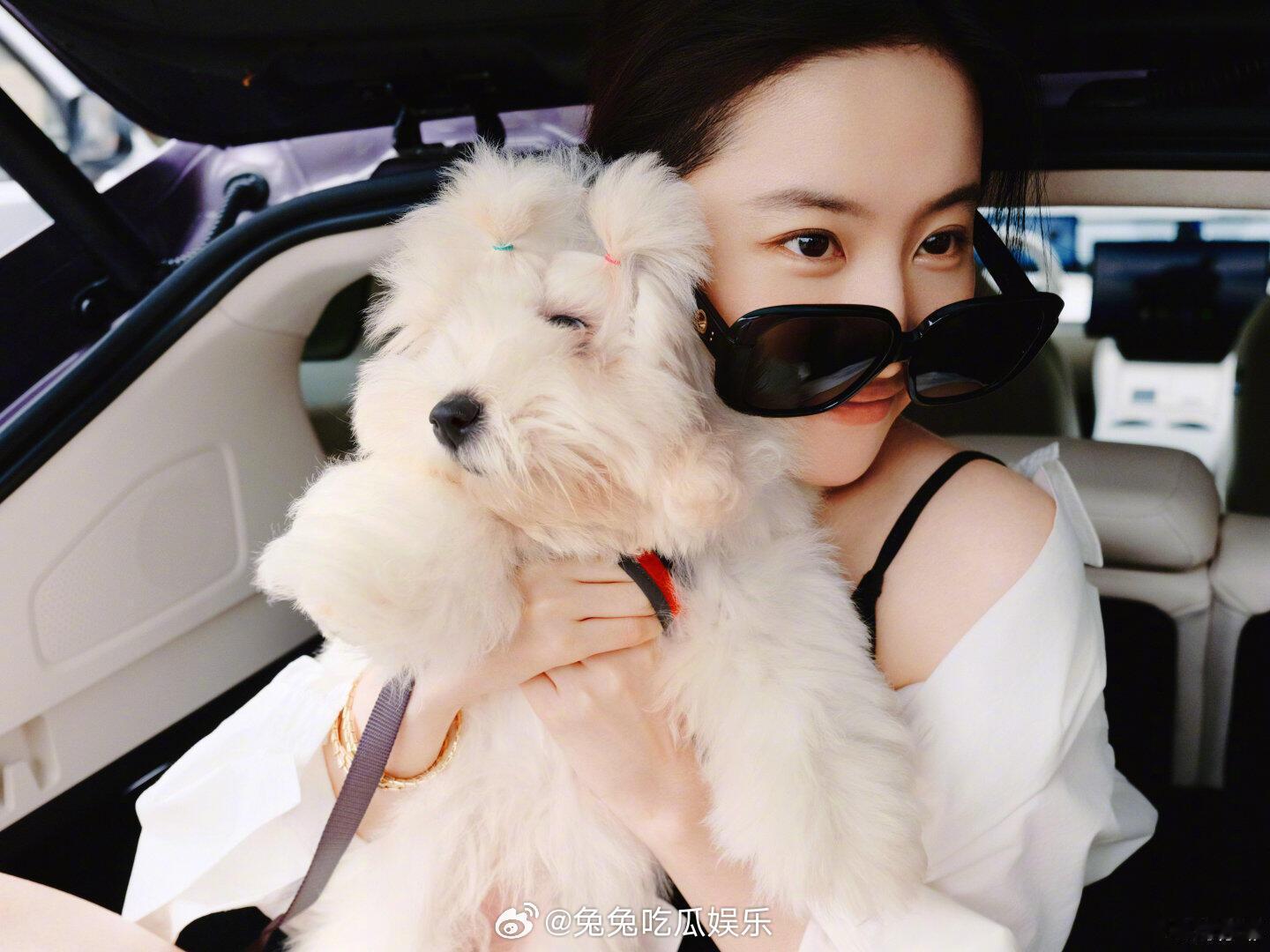 刘亦菲对着狗狗夹飞了太宠了 