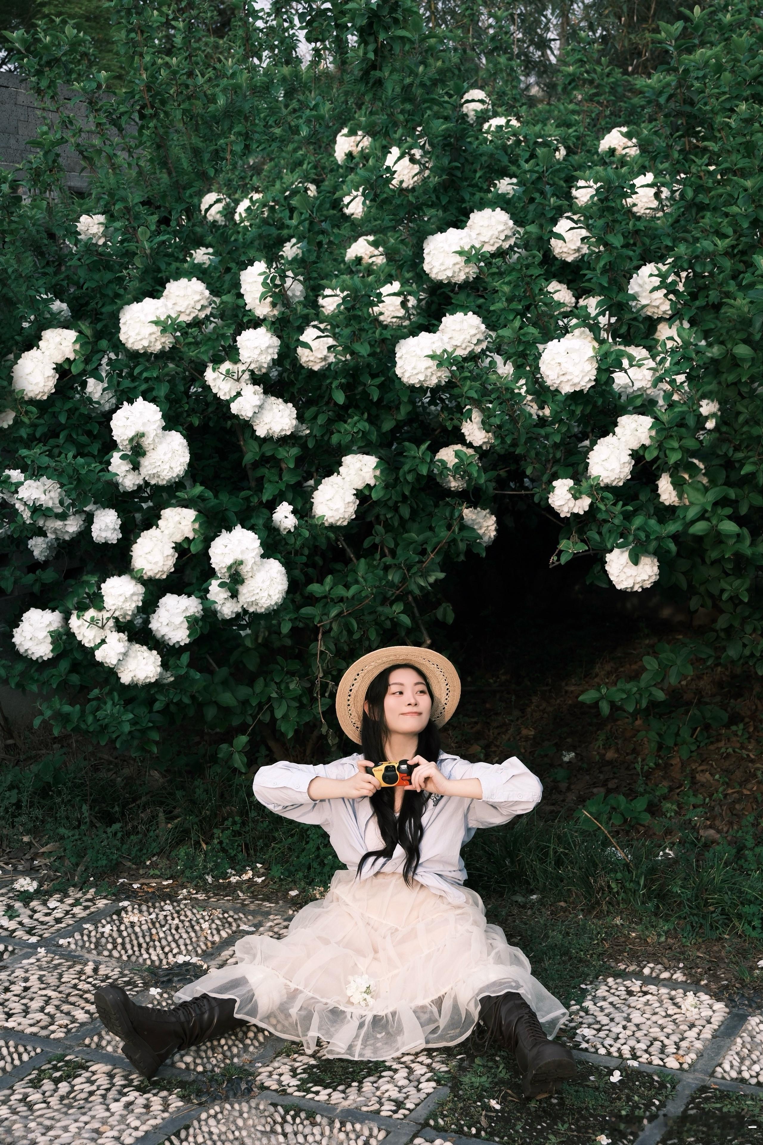 木绣球的花语是希望₊ ⊹♡🕊️ 