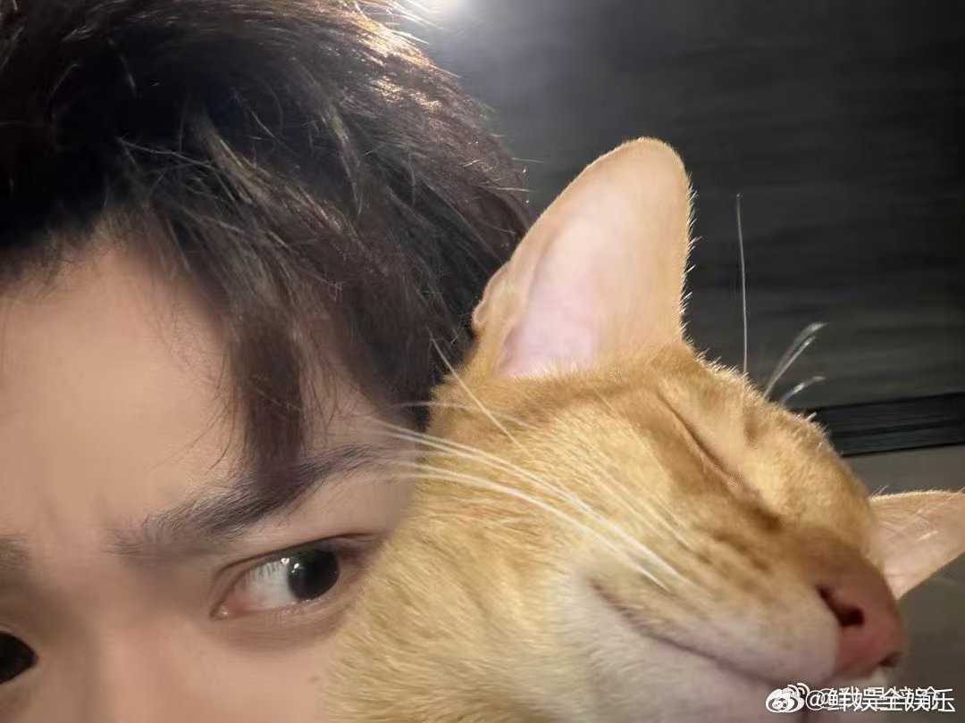 梓渝和大鱼小十一合照加1梓渝发了和大鱼小十一的合照，太萌了梓渝晒和大鱼小十一合照