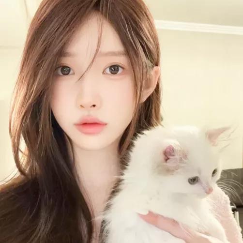 抱着可爱小猫咪的温柔女孩🐱