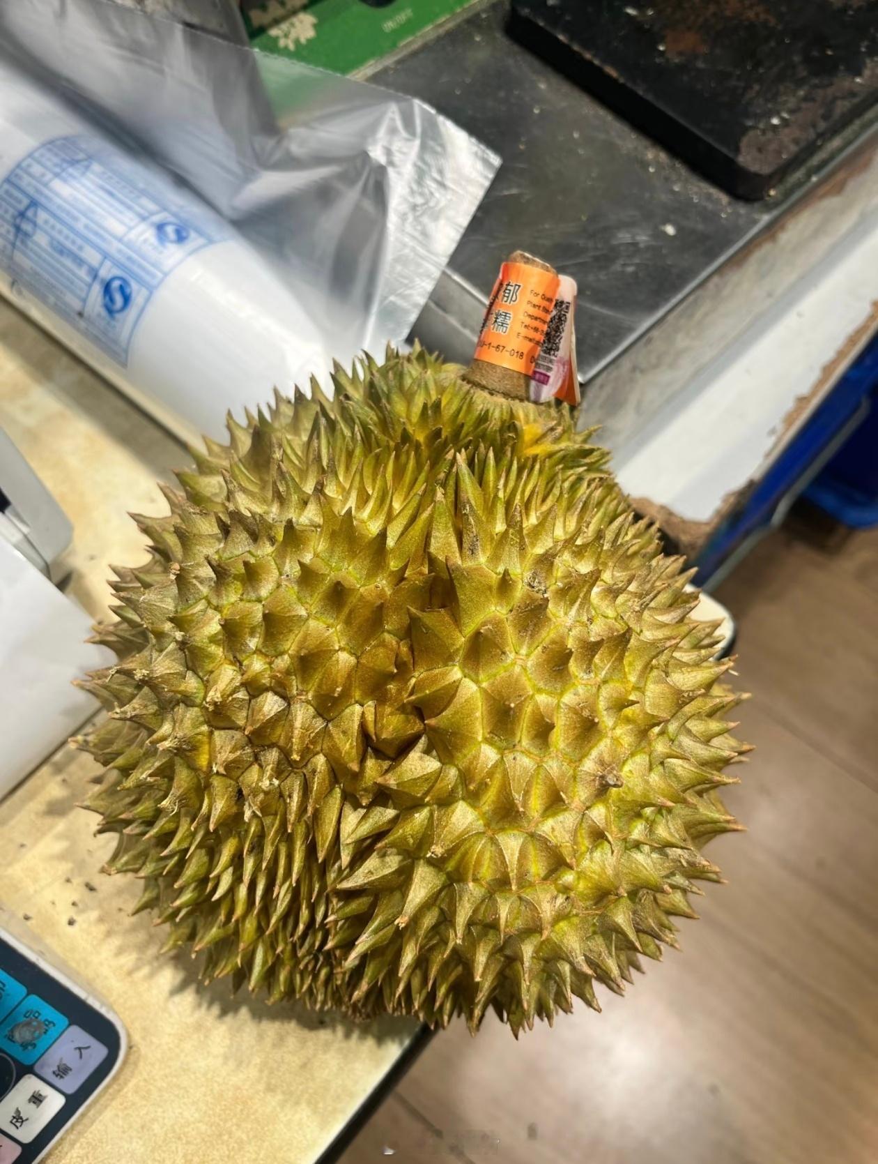 榴莲价格永旺的巴掌榴莲挺不错的，打算今晚搞一个看看