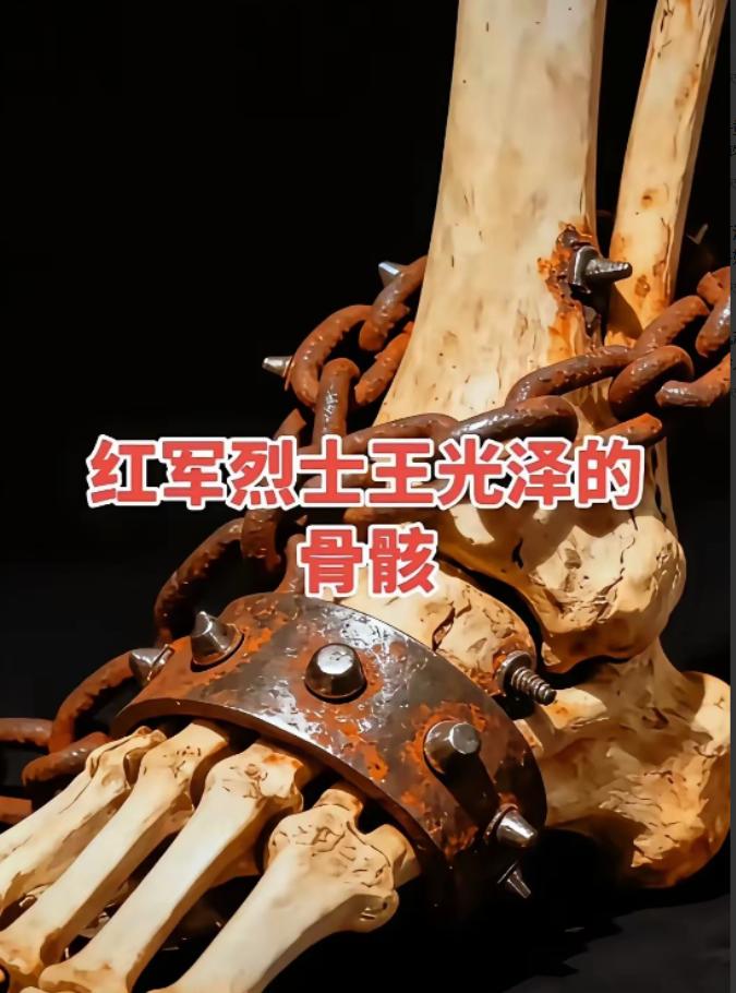 向红军烈士致敬！1982年，在重庆某处，考古学家们意外发现了一具特殊的骸骨，双脚