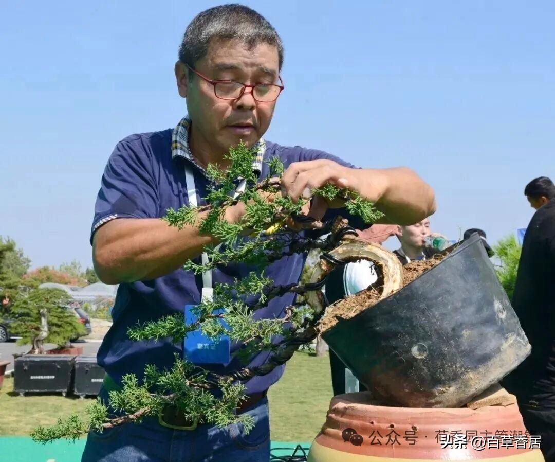 人呀，不要总对自己干过的差事恋恋不舍。
我有个工作上的老大姐，正处岗位上退的，十