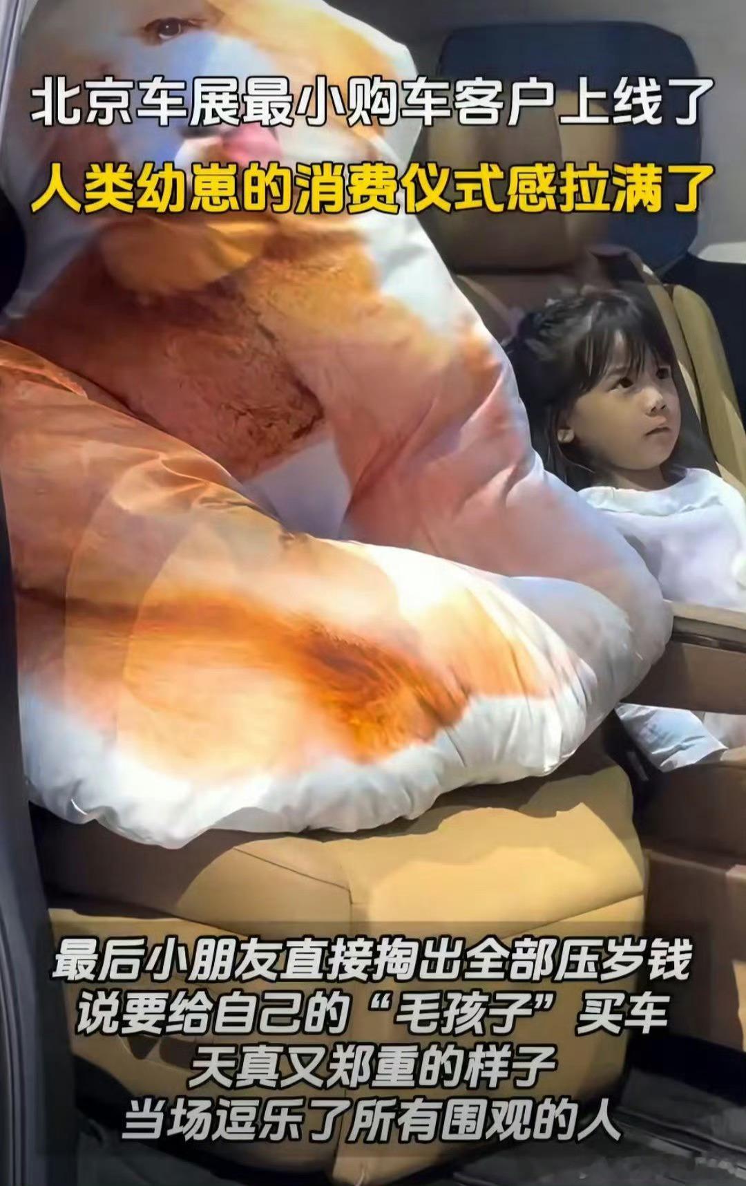 北京车展最小购车客户上线了直击北京车展趣味名场面，史上最小购车客户惊艳亮相。稚嫩