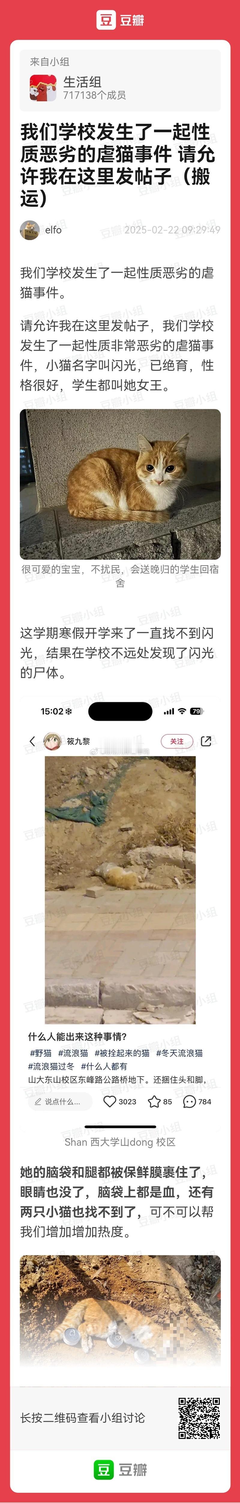 又是一起~虐~猫~的😡😡 