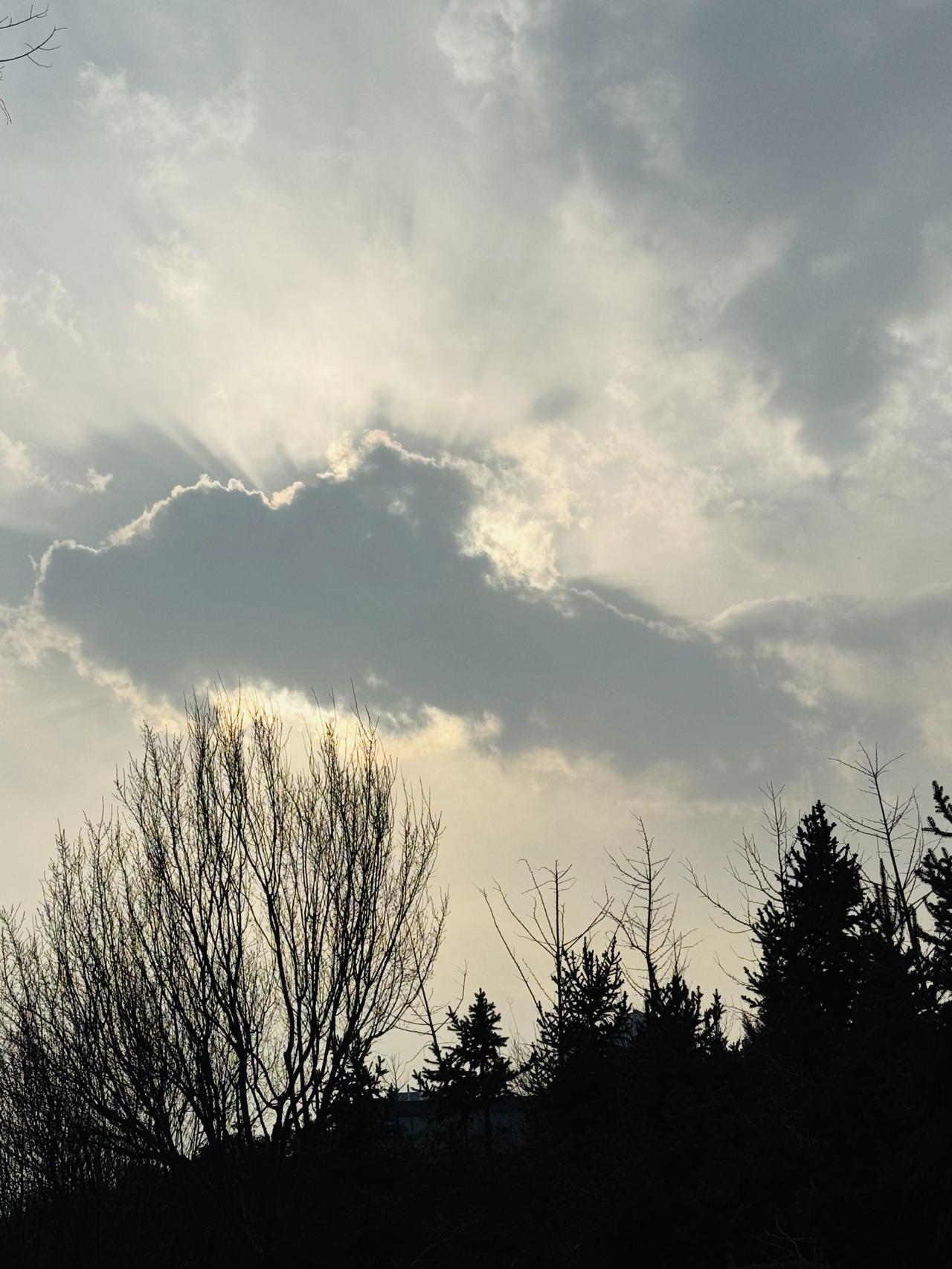伊朗：禁止美以欧船只通过霍尔木兹海峡！做的非常正确，也非常到位，一定要让发起战争