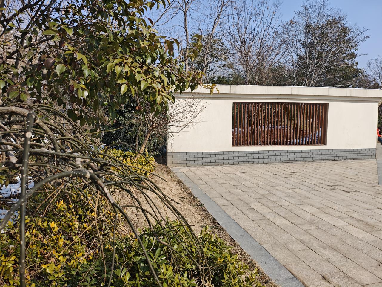 两周一次的奔赴，是奔向爸妈的餐桌，也是奔向家门口的松弛。
一碗热饭下肚，再到古运