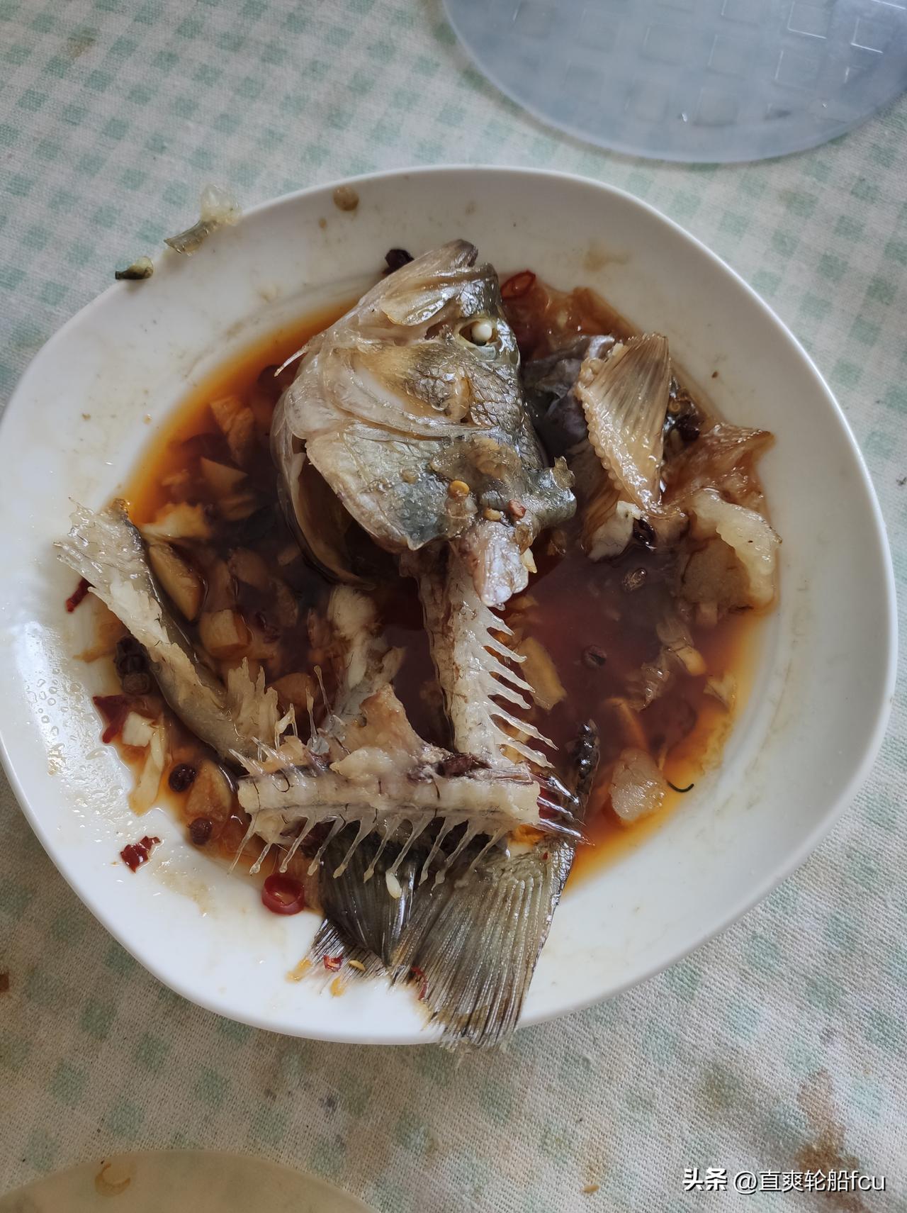 我说我现在不饿，等会吃饭，结果小胖把这条鲈鱼啃得这么干净[捂脸]，一点肉渣都不给