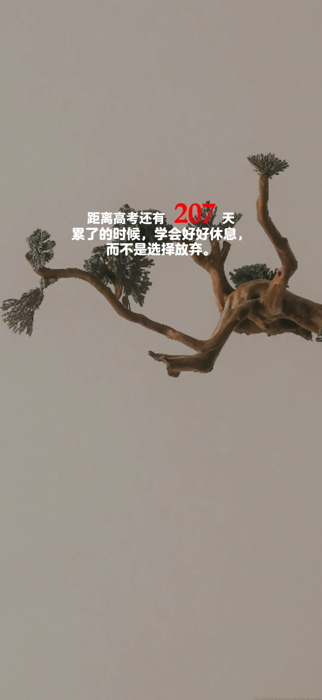 2025高考倒计时，每日更新。
