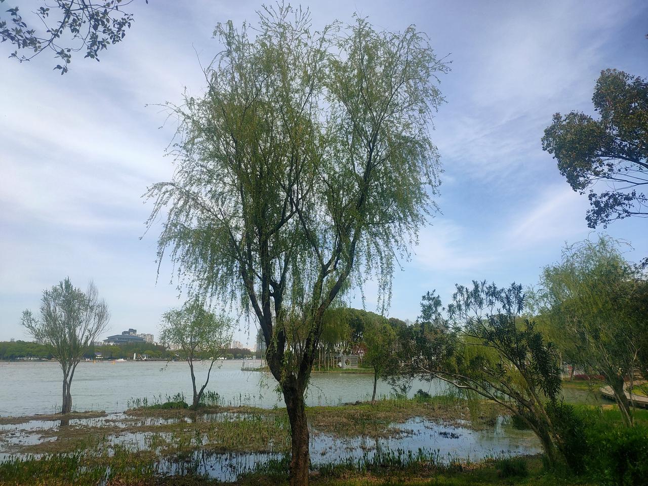 侬好上海呀
周末的上海，很多上海朋友喜欢开车到江苏无锡靠近太湖边的酒店，住上一两