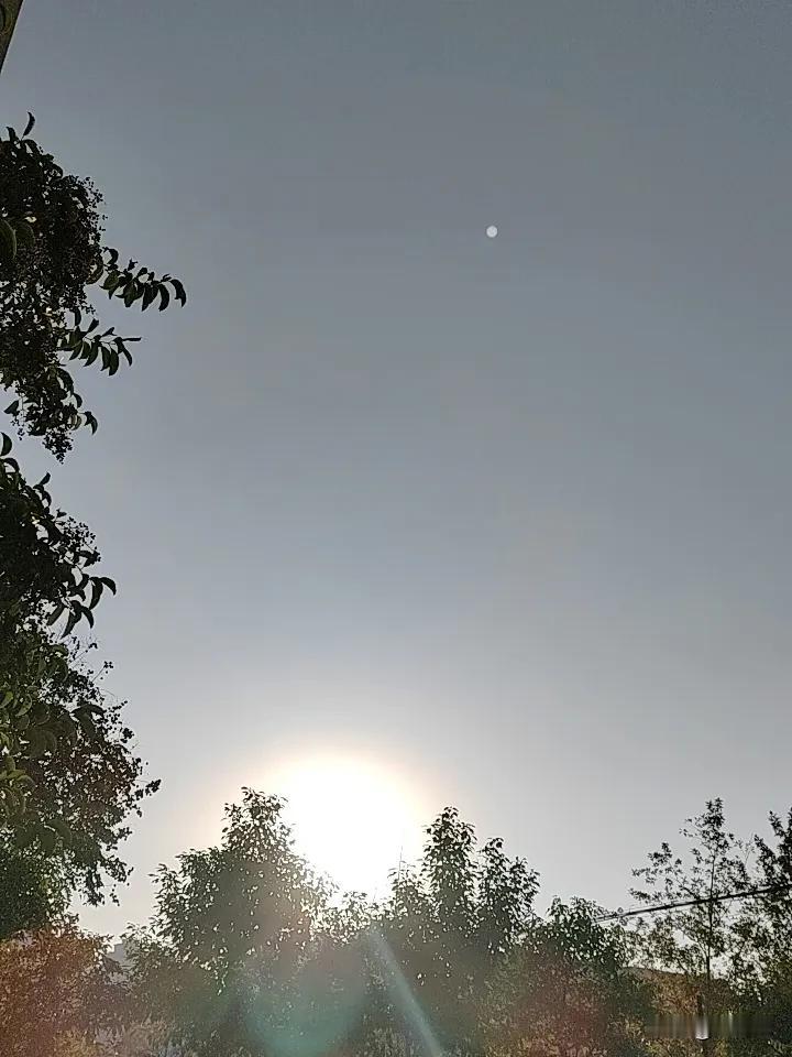 流水不争先，争的是滔滔不绝 
草木不争高，争的是生生不息
风起于青萍之末，浪成于