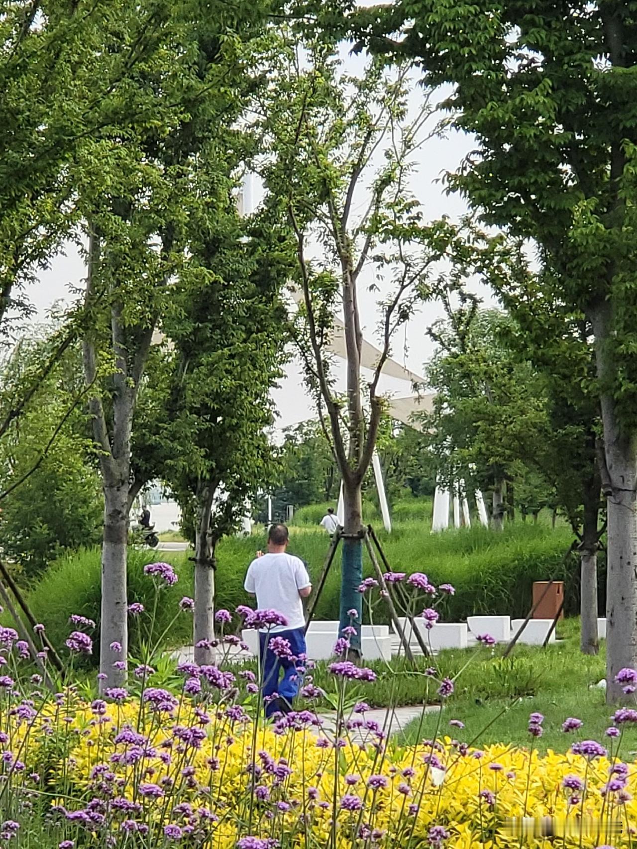嘴碎的老人没有人喜欢
 
嘴碎的老人没有人喜欢。他们总爱盯着别人的生活，把琐碎小