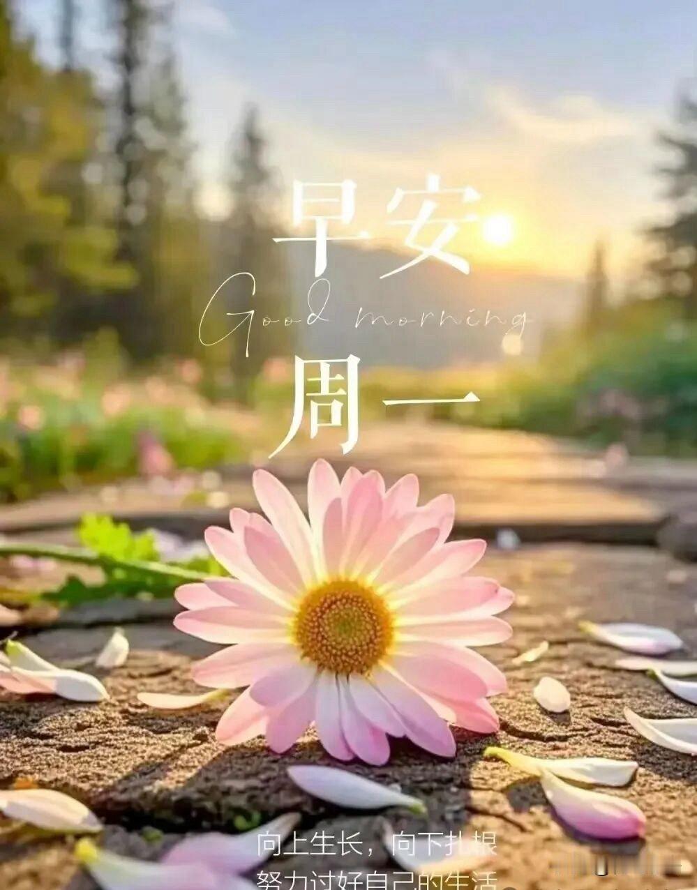 🍃²º²⁶/₀₆.₁₅ᵕ̈ 💕ʜᴀ͟ᴘ͟ᴘ͟ʏ ᴅᴀʏ̆̈新周快乐🍒☕️