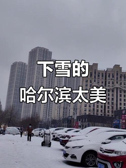 正由于哈尔滨位于大东北的北方，冬季大雪纷飞、寒气逼人那是标配。前些日子冬至天气，