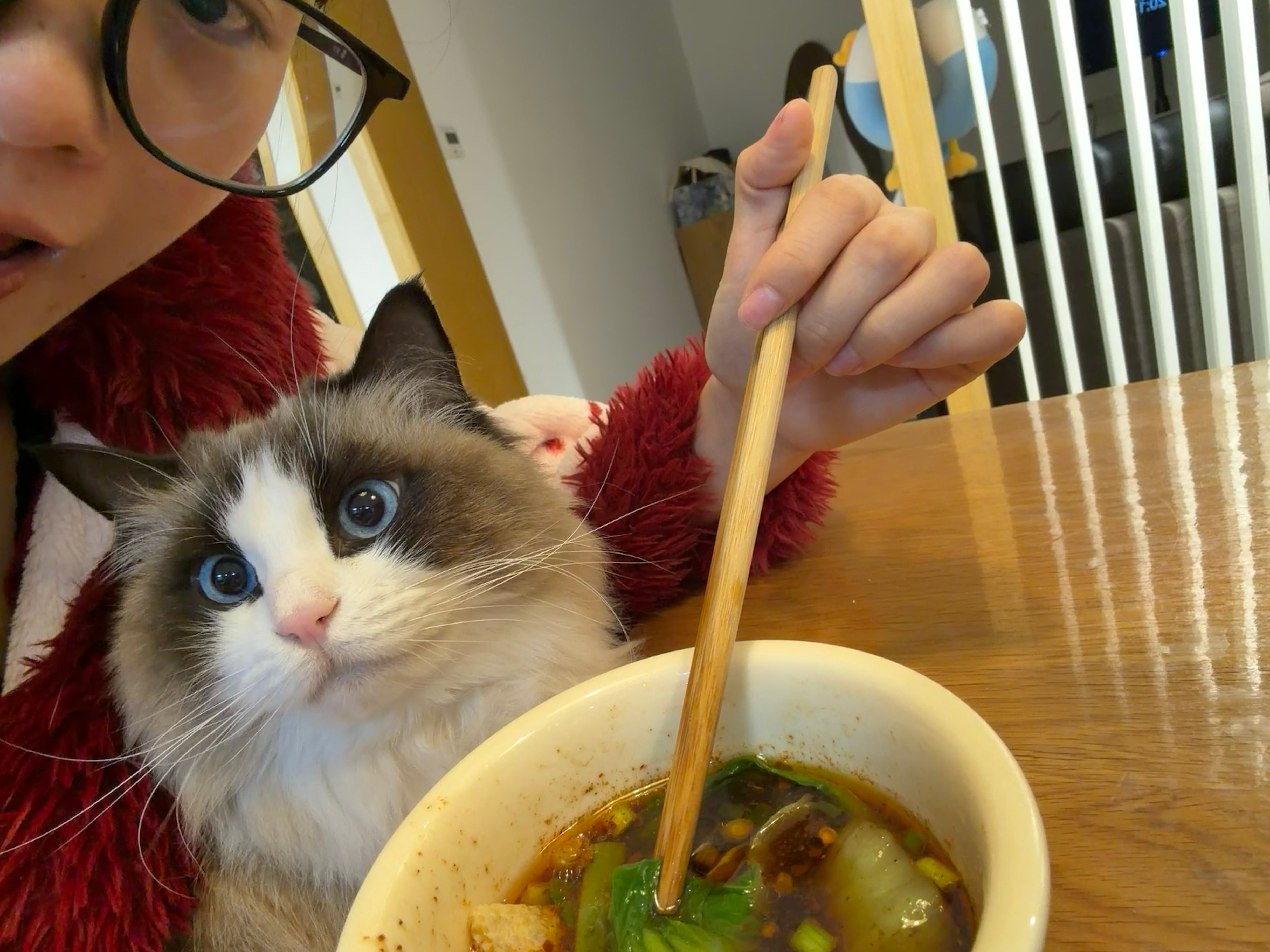 今天吃贵州蘸水菜大家晚上都吃了嘛？ 