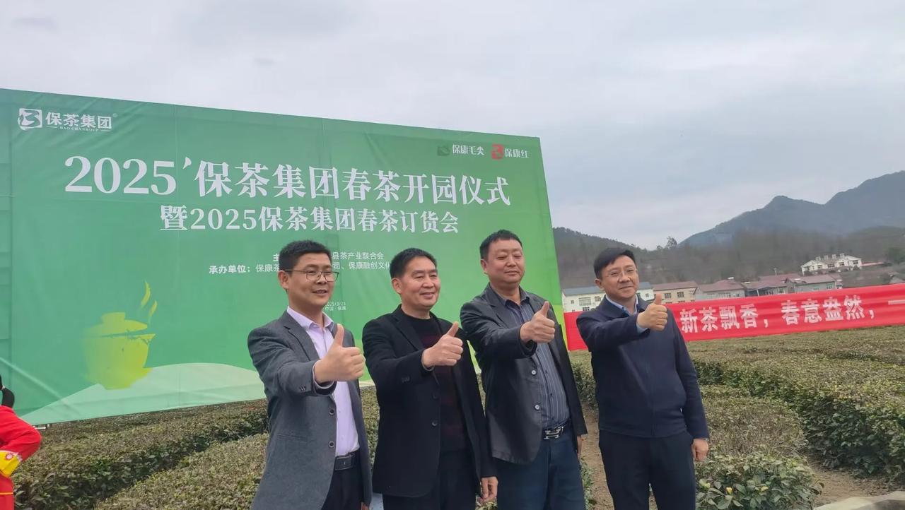 喝春茶啦！最是一年春好处，唯有春茶不可负！
3月23日，保茶集团春茶正式
开园