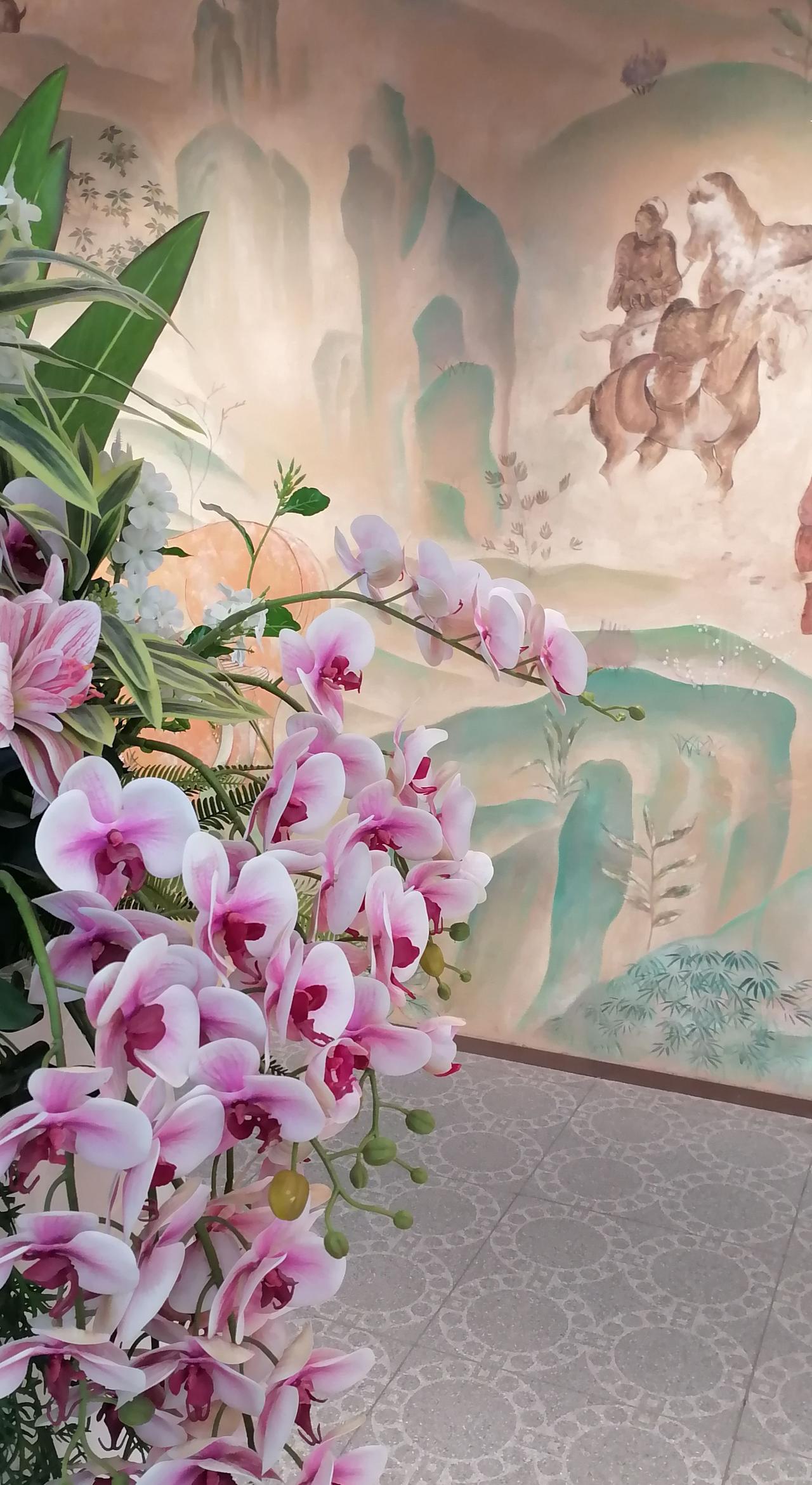 艺术与自然的结合各种类型搭子 晒晒你拍的花