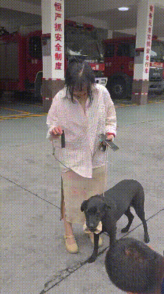 狗子啃骨卡嘴，消防员都被整笑了…
 
坐标成都温江，一只黑不拉几的狗子为了啃骨头