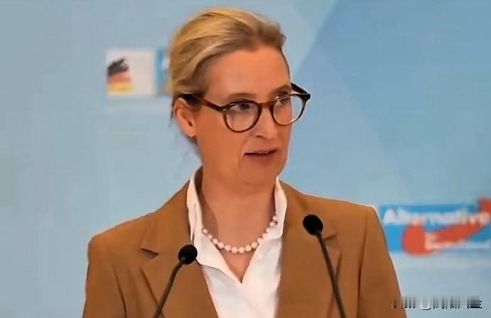 德国选择党领袖魏德尔谈西方国家双标:普京在2022年违反了国际法，他们多年来一直