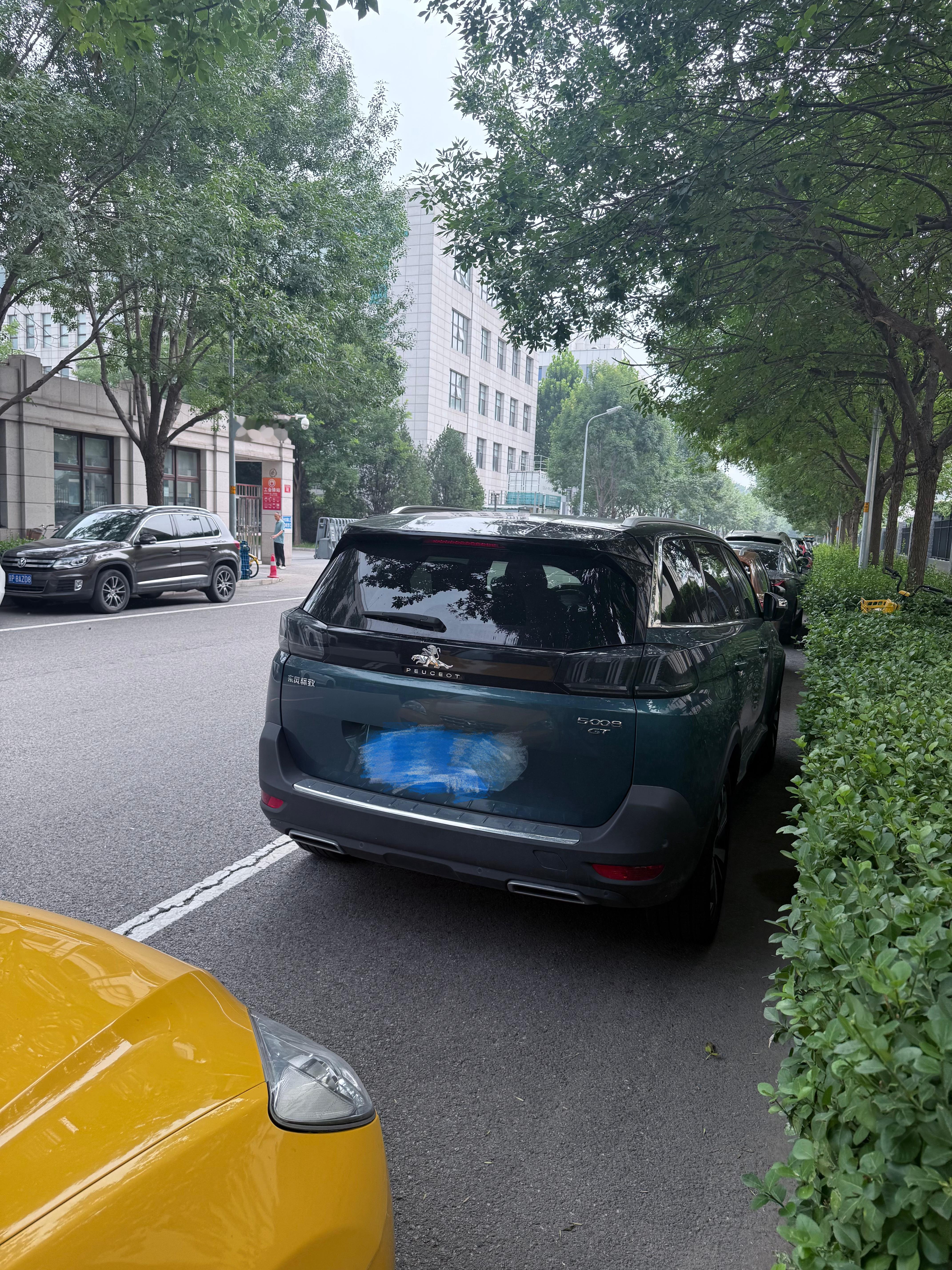 见过狗骑兔子 见过狮子骑豹子吗[doge] ​​​