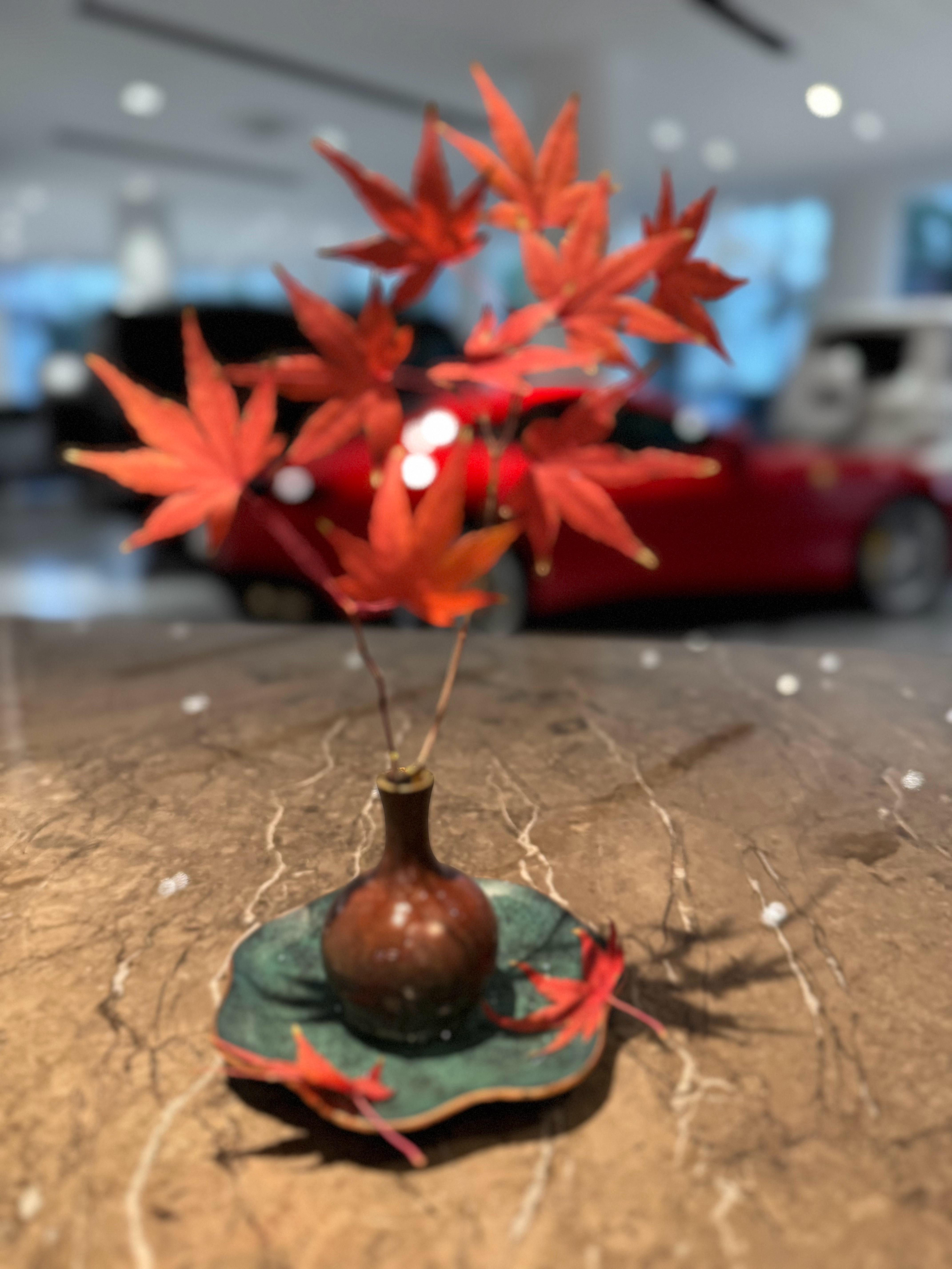 生活处处是美好。店门口随便捡的🍁 