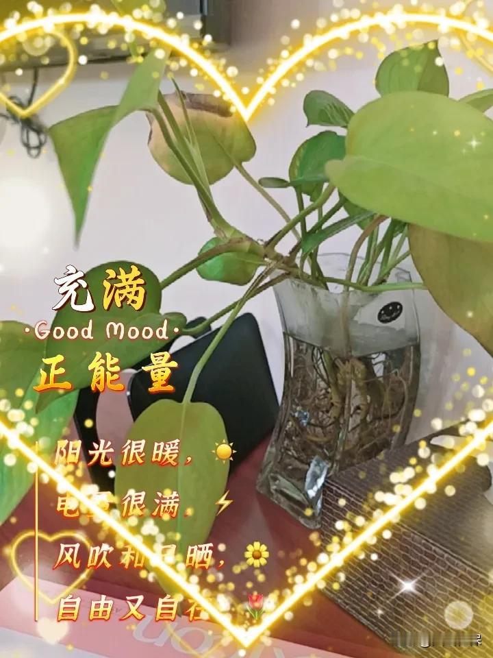 晒图笔记大赛呆在窗前看花