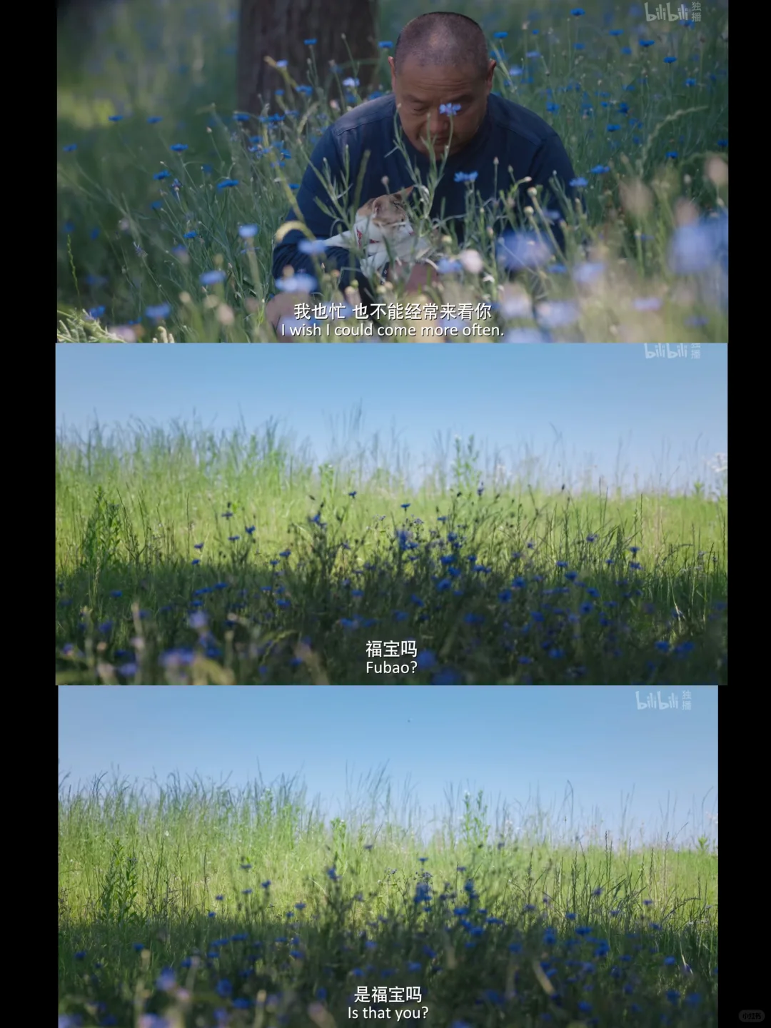 都给我去看！我们是价值连城的宝贝！！