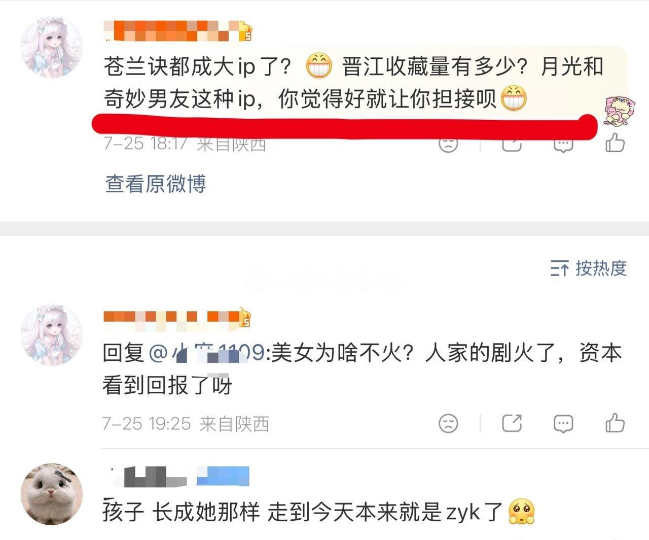 苍兰诀ip不大？
奇妙男友第一部吴倩演的火了那会儿可是华策长公主
正常第二部不会