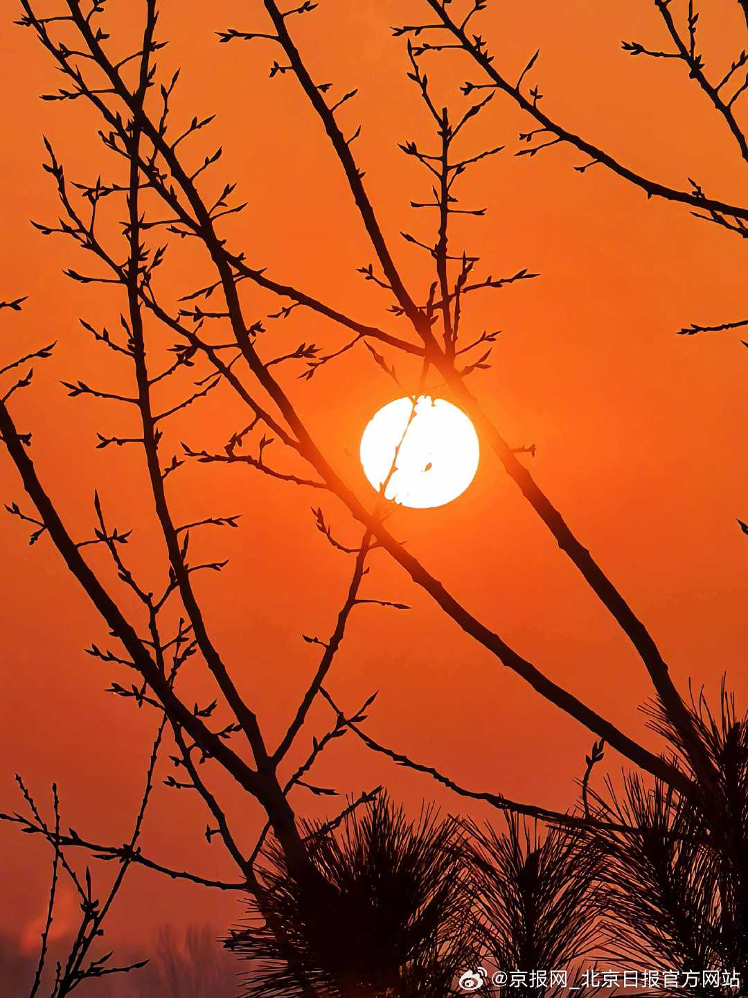 【#北京糖果色朝霞告别1月#】#北京梦幻日出唤醒周末# 1月31日清晨，北京天空