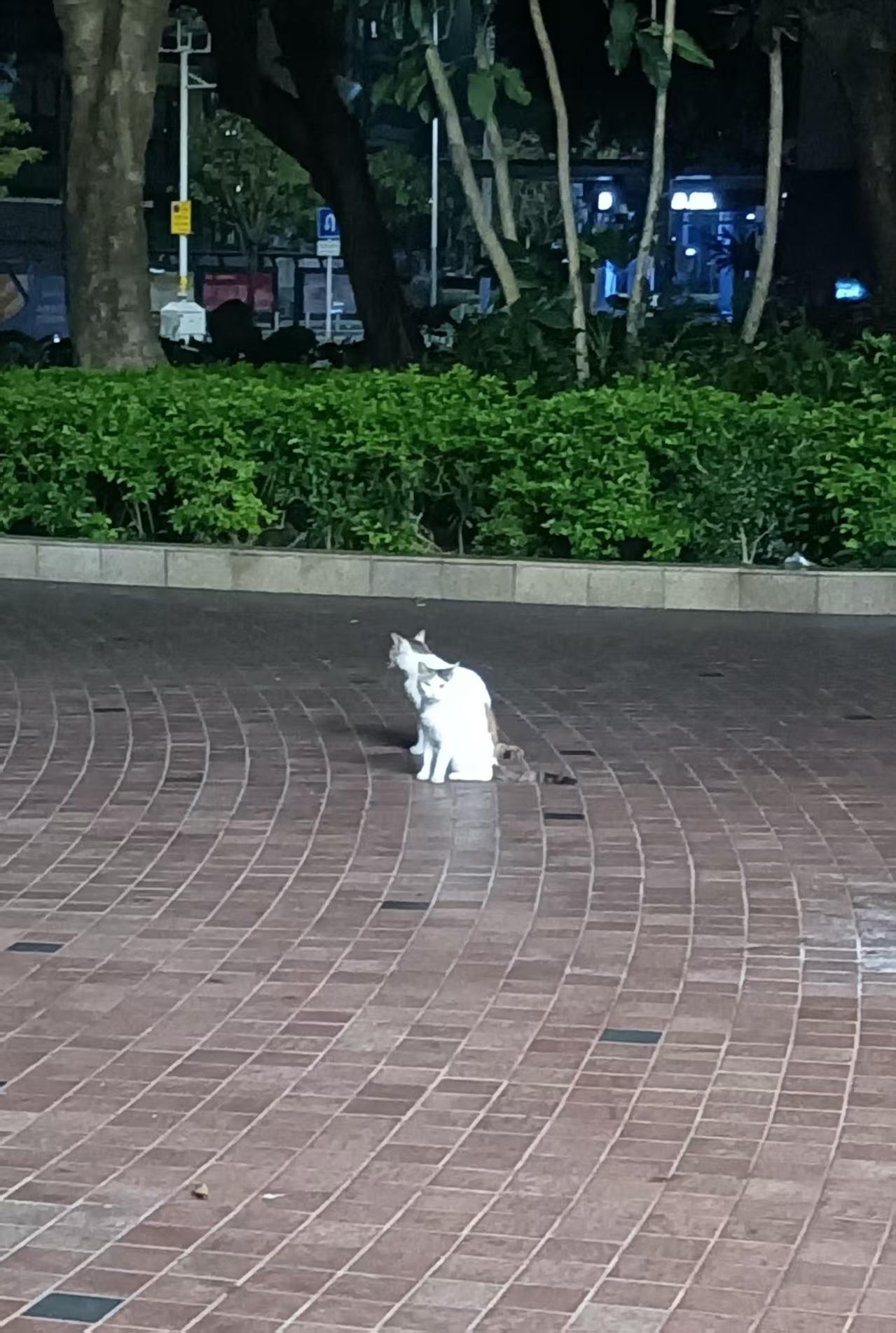 分享一下你随手拍下的照片