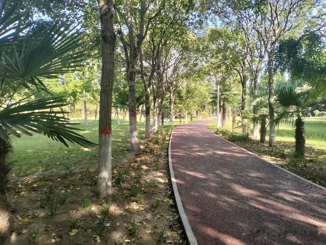 跑步🏃🏻‍♂️跑步！