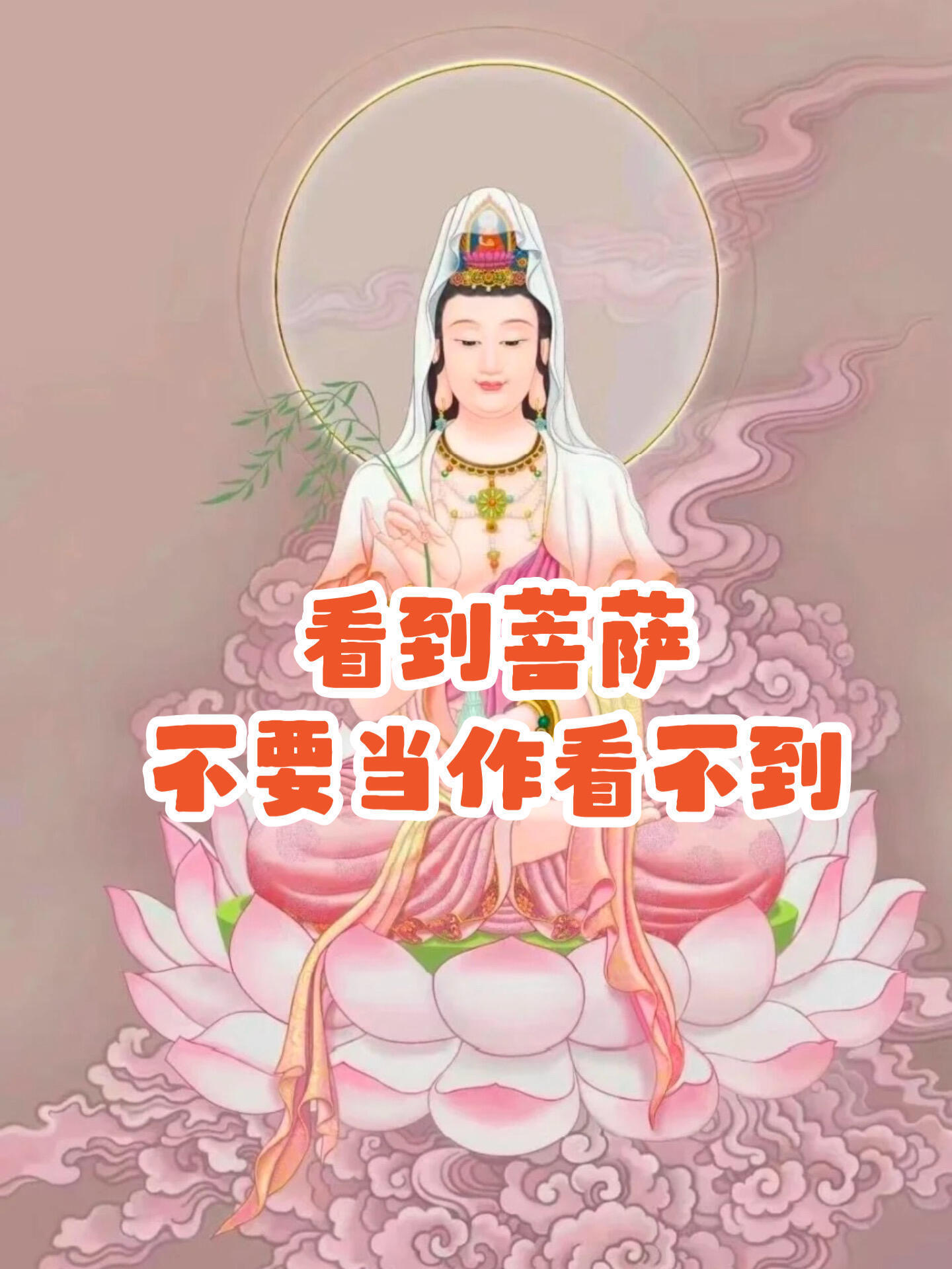 看到观音不要滑走 说明好运要开始了 ​​​