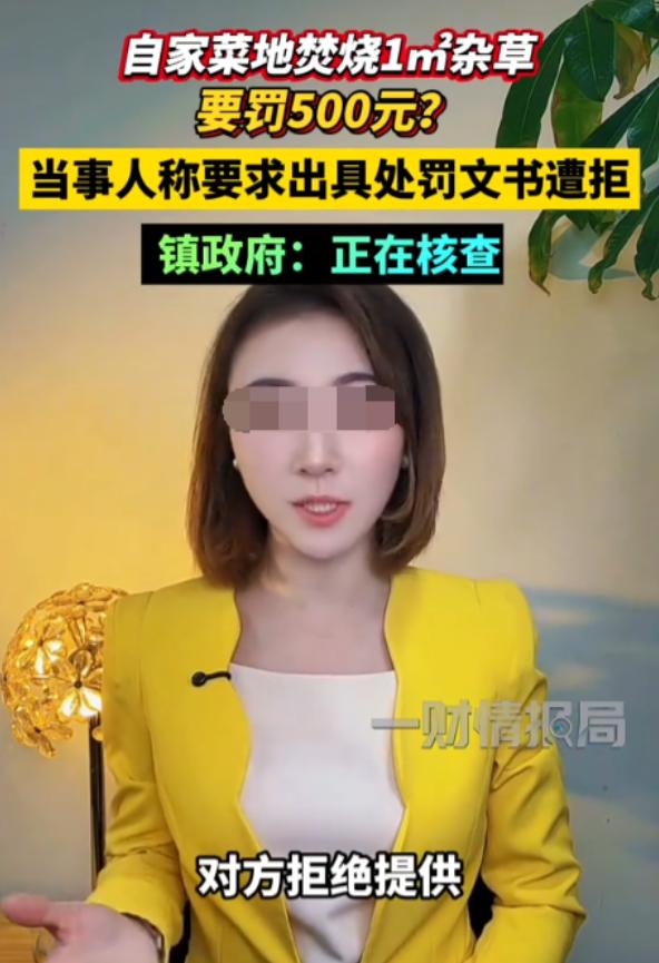“有权更不能任性！”河南，女子在自家露天焚烧1平米左右的杂草，由于烟雾太大，被村