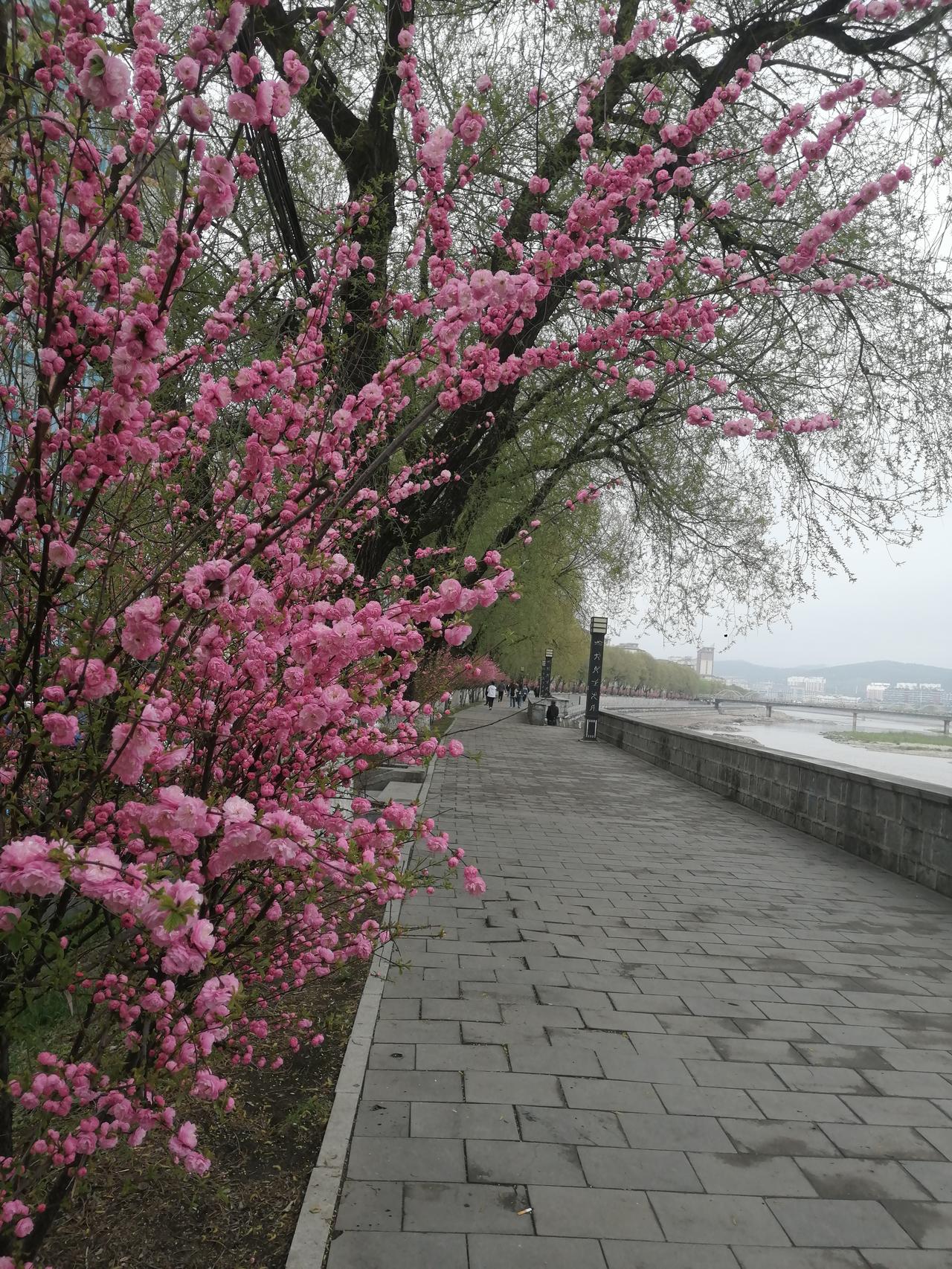 上联：冰天雪地送冬去
我的下联是：
下联：万紫千红迎春来
