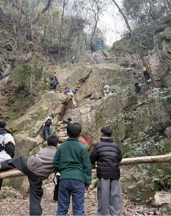 爬野山出事的孩子最小才4岁，“都是家长的问题”。这种事必须经历一次伤痛才知道危险