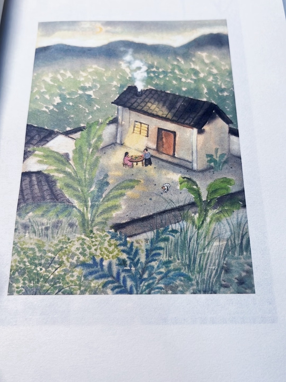 《人间有个小菜园》 